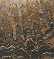 Stromatolite Algae 2.2-2.4 Billion Years Old Cochababmb District, Bolivia