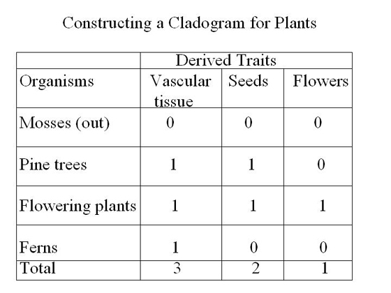 Plant Cladogram Example