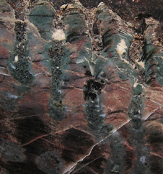Stromatolite Collenia undosa Mesabi Range, Minnesota