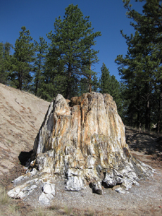 Florissant Fossil Beds National  Monument