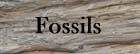 Fossils Button