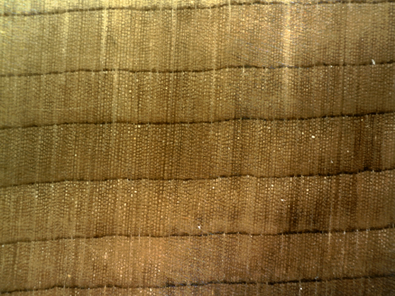Bruneau Conifer